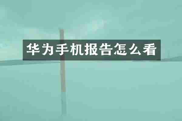 华为手机报告怎么看
