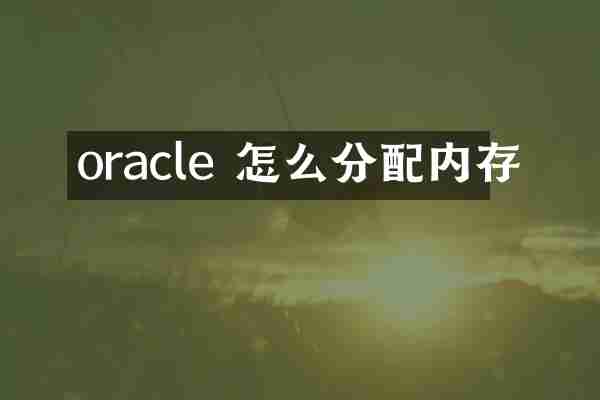 oracle 怎么分配内存