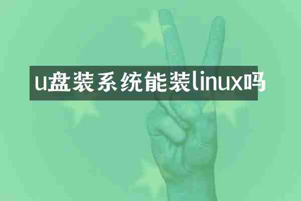 u盘装系统能装linux吗
