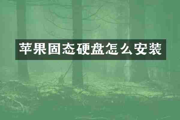 苹果固态硬盘怎么安装