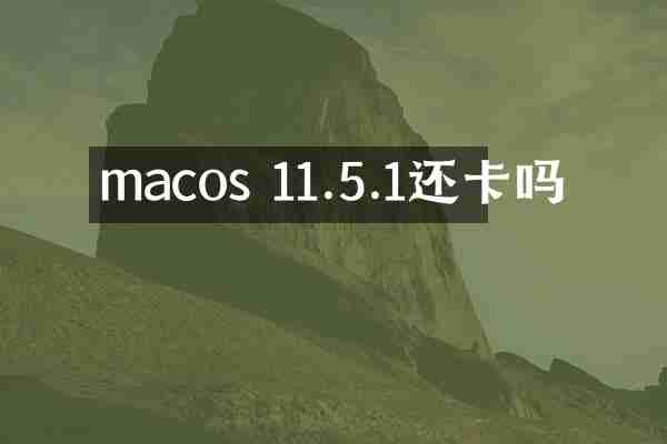 macos 11.5.1还卡吗