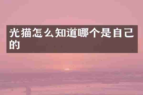 光猫怎么知道哪个是自己的