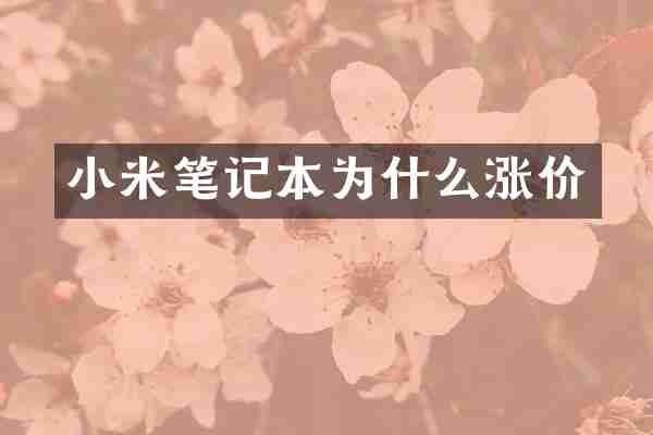 小米笔记本为什么涨价