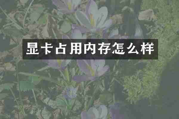 显卡占用内存怎么样