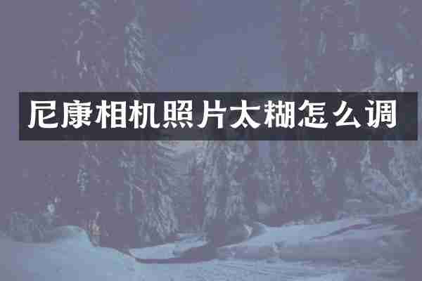 尼康相机照片太糊怎么调