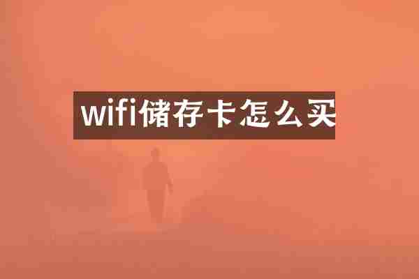 wifi储存卡怎么买