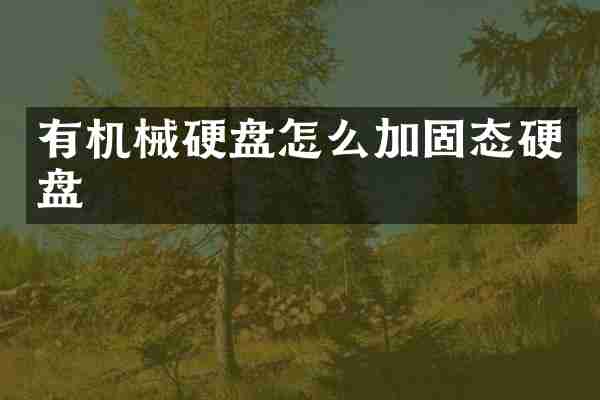 有机械硬盘怎么加固态硬盘