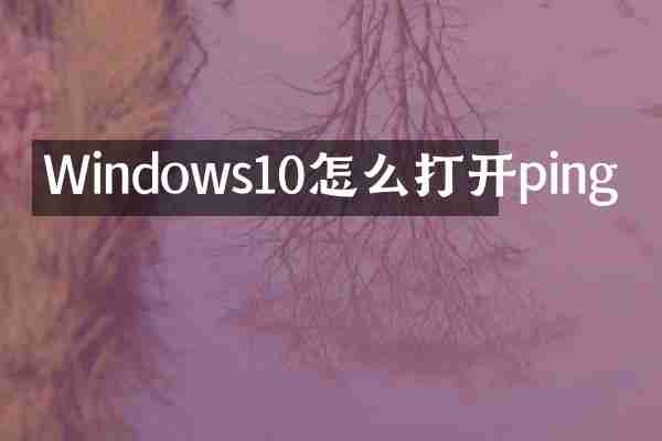 Windows10怎么打开ping