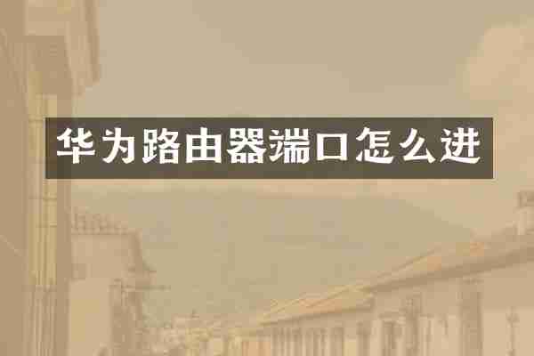 华为路由器端口怎么进