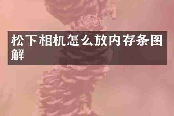 松下相机怎么放内存条图解