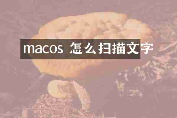 macos 怎么扫描文字