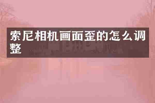 索尼相机画面歪的怎么调整