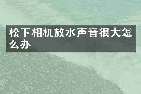 松下相机放水声音很大怎么办