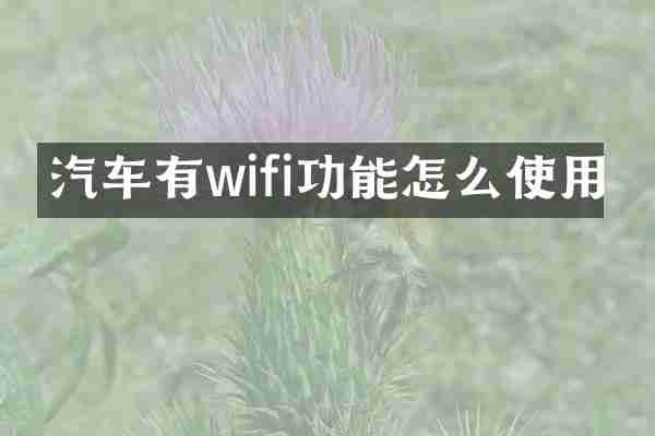 汽车有wifi功能怎么使用