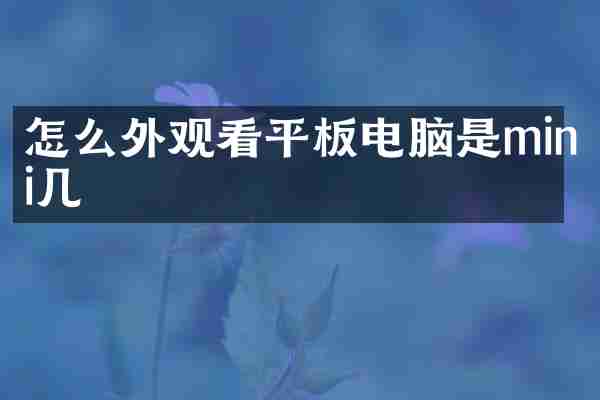 怎么外观看平板电脑是mini几