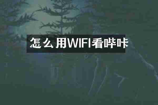 怎么用WIFI看哔咔