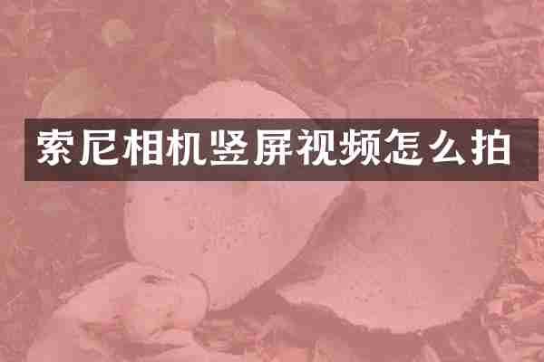 索尼相机竖屏视频怎么拍