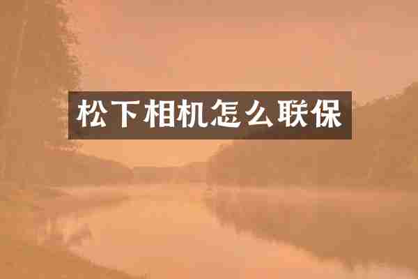 松下相机怎么联保