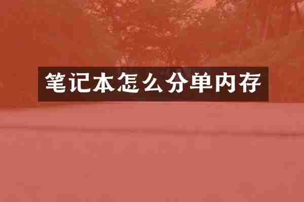 笔记本怎么分单内存