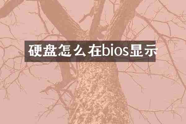 硬盘怎么在bios显示