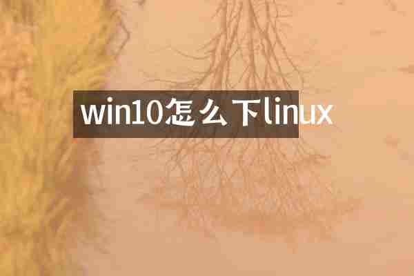 win10怎么下linux