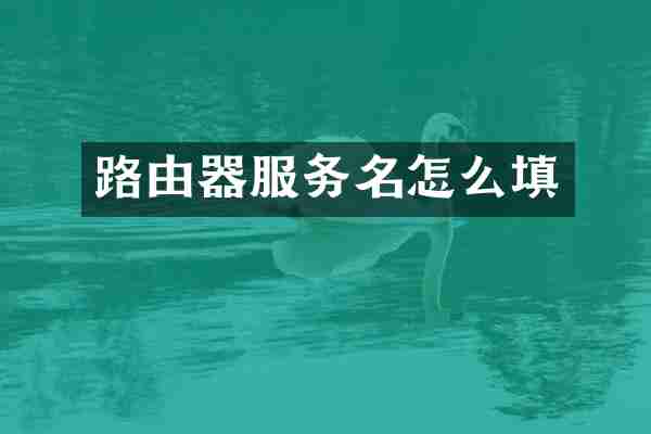路由器服务名怎么填