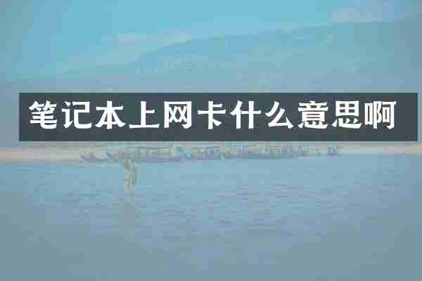 笔记本上网卡什么意思啊
