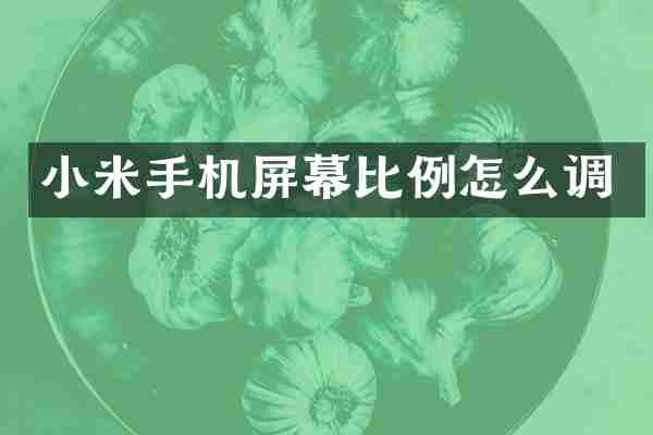 小米手机屏幕比例怎么调