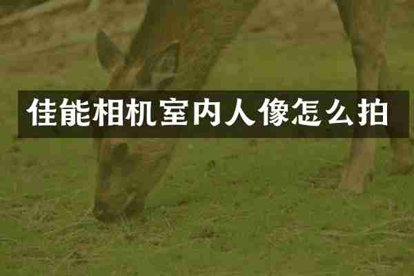 佳能相机室内人像怎么拍