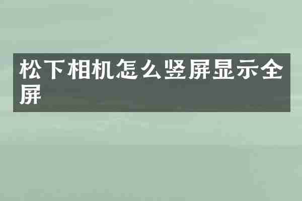 松下相机怎么竖屏显示全屏