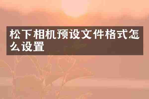 松下相机预设文件格式怎么设置