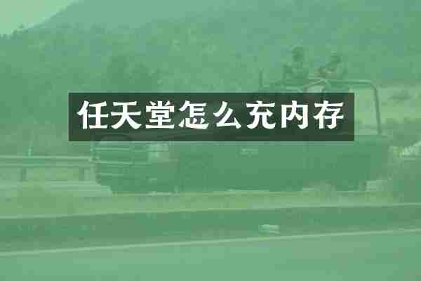 任天堂怎么充内存