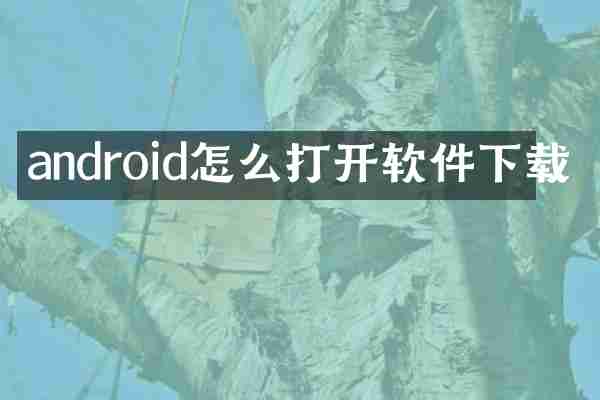 android怎么打开软件下载