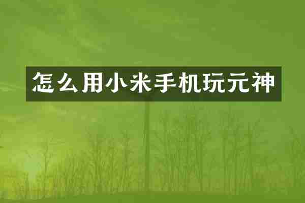 怎么用小米手机玩元神