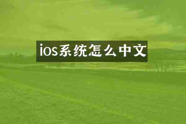 ios系统怎么中文