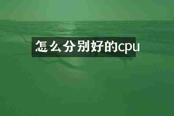 怎么分别好的cpu