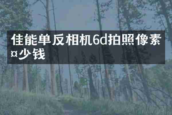 佳能单反相机6d拍照像素多少钱