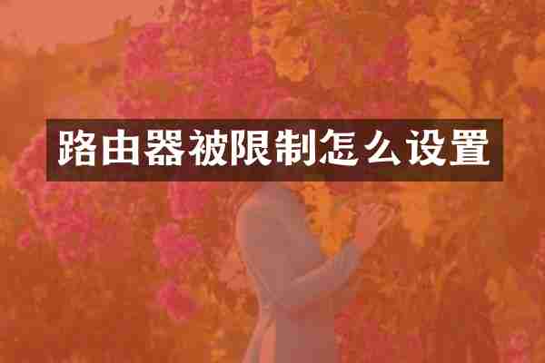 路由器被限制怎么设置