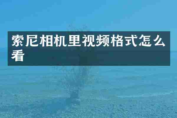 索尼相机里视频格式怎么看