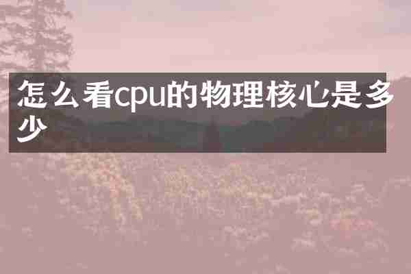 怎么看cpu的物理核心是多少