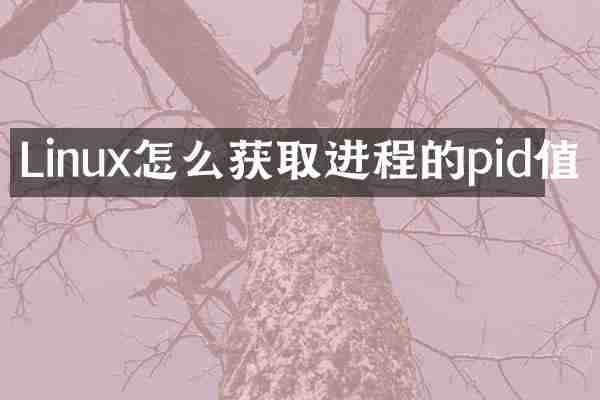Linux怎么获取进程的pid值