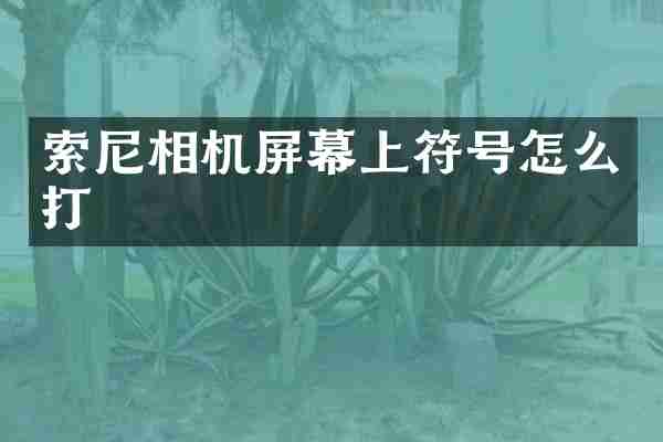 索尼相机屏幕上符号怎么打