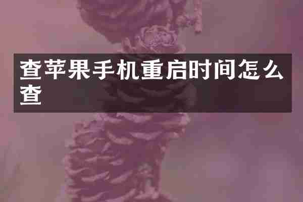 查苹果手机重启时间怎么查