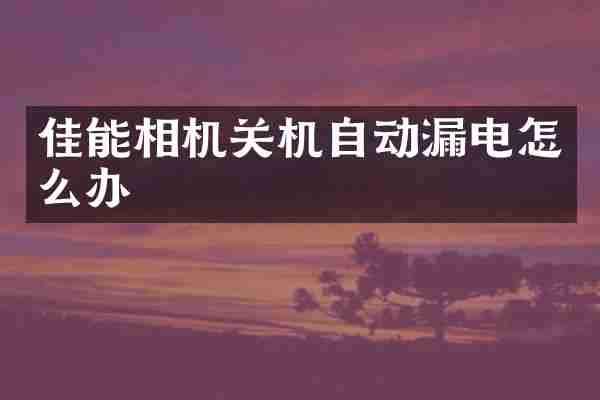 佳能相机关机自动漏电怎么办