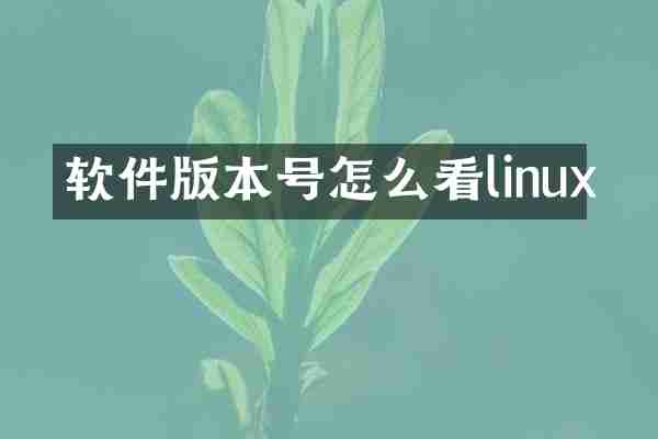 软件版本号怎么看linux