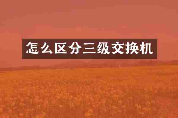 怎么区分三级交换机