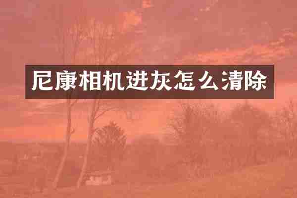 尼康相机进灰怎么清除