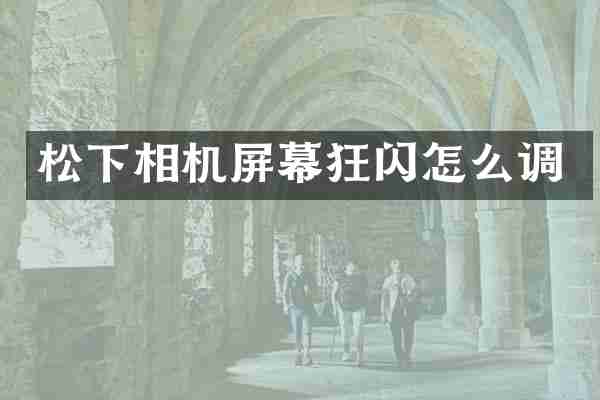 松下相机屏幕狂闪怎么调