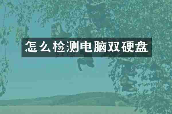 怎么检测电脑双硬盘