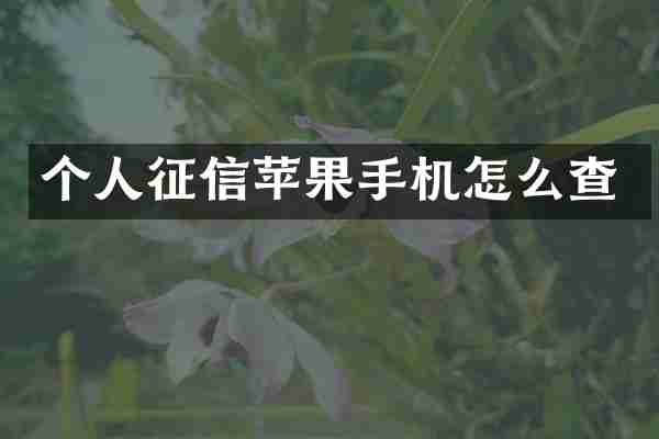 个人征信苹果手机怎么查